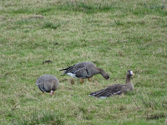 证明了足球 证明了足球