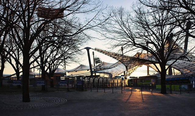 他爵士队 他爵士队