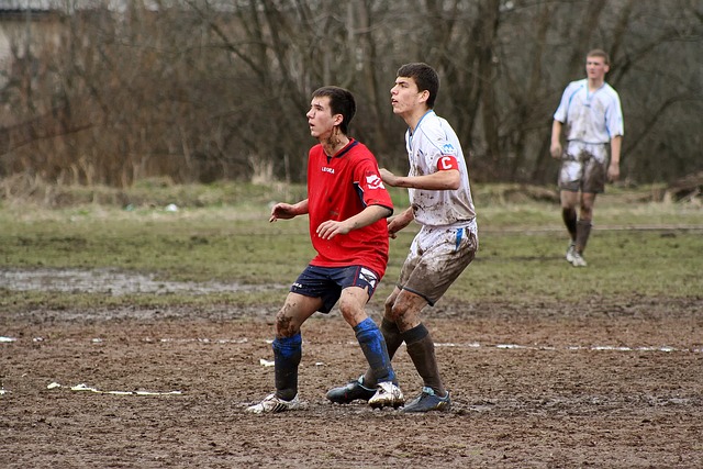 行為問題 行為問題